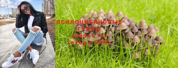 каннабис Беломорск