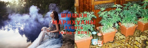 амф Белоозёрский